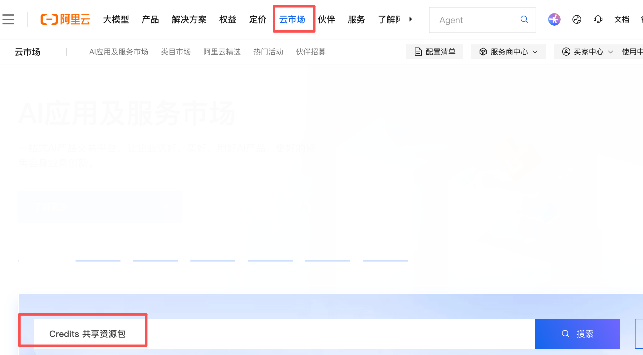 云市场搜索 Credits 共享资源包